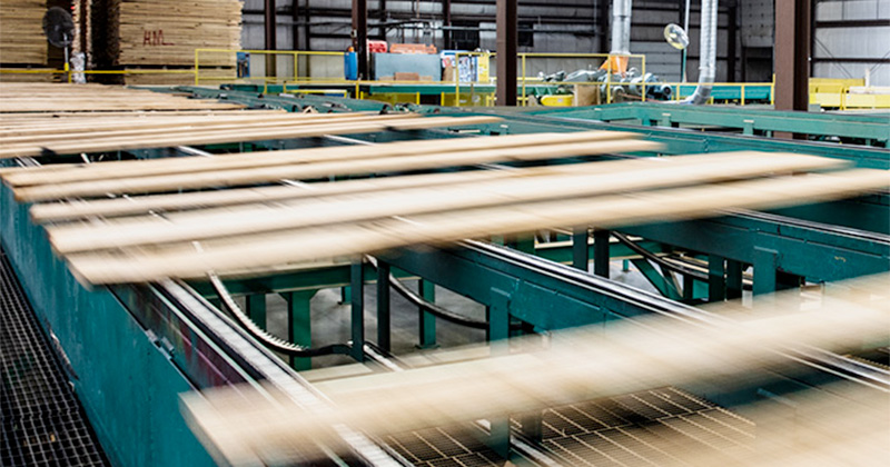 lumber machinery processing over 50 million board feet per year
